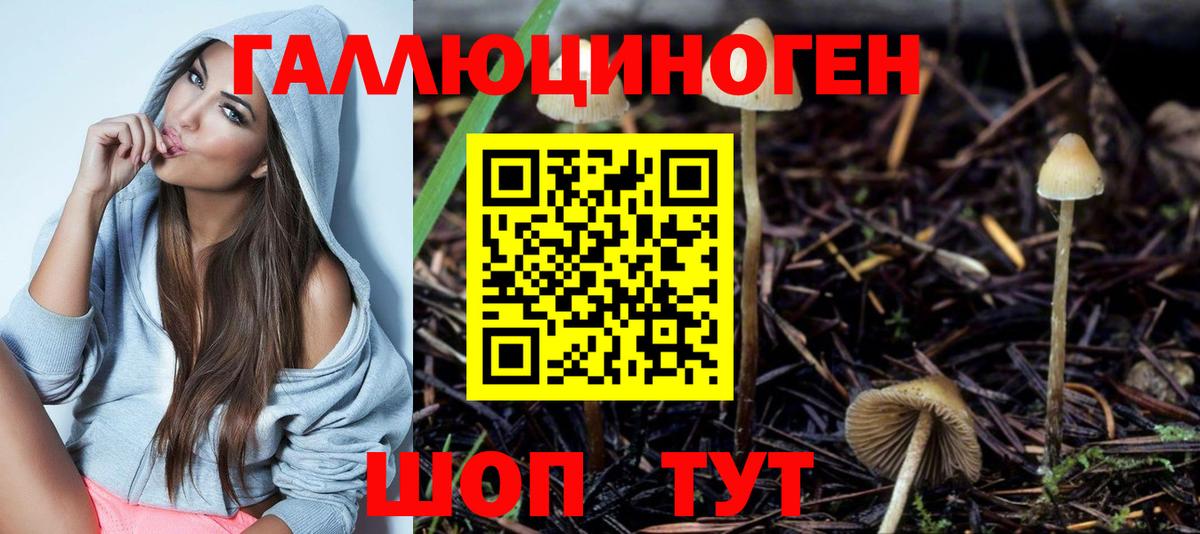 Галлюциногенные грибы Cubensis Избербаш
