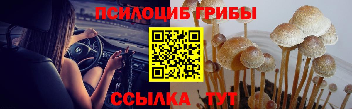 Избербаш  Псилоцибиновые грибы прущие грибы  Галлюциногенные грибы Magic Shrooms  Вход с VPN 